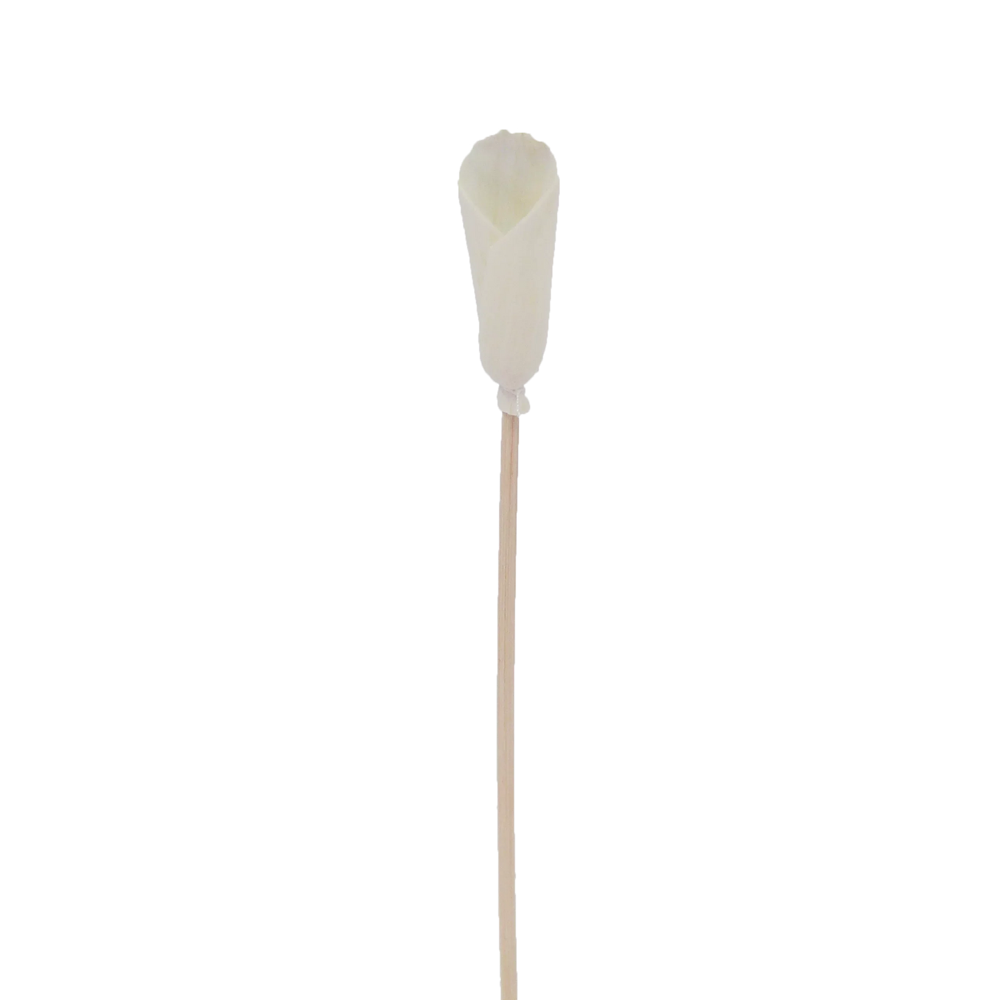 Fleur d'Alocasia - Bâtonnet diffuseur en rotin fleur