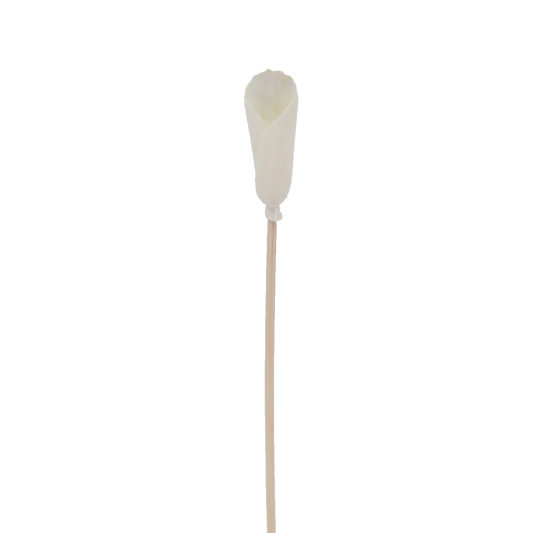 Fleur d'Alocasia - Bâtonnet diffuseur en rotin fleur