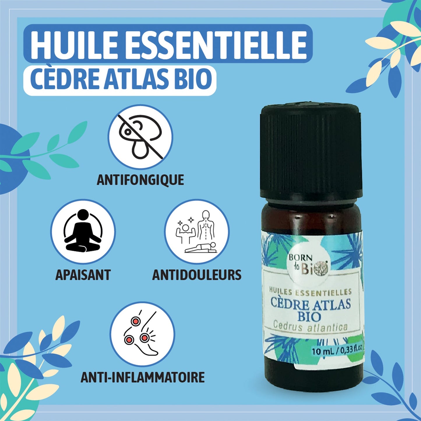 Huile essentielle Cèdre Atlas Certifiée Bio
