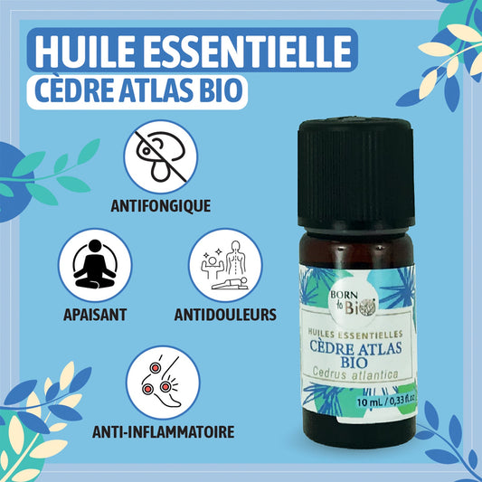 Huile essentielle Cèdre Atlas Certifiée Bio